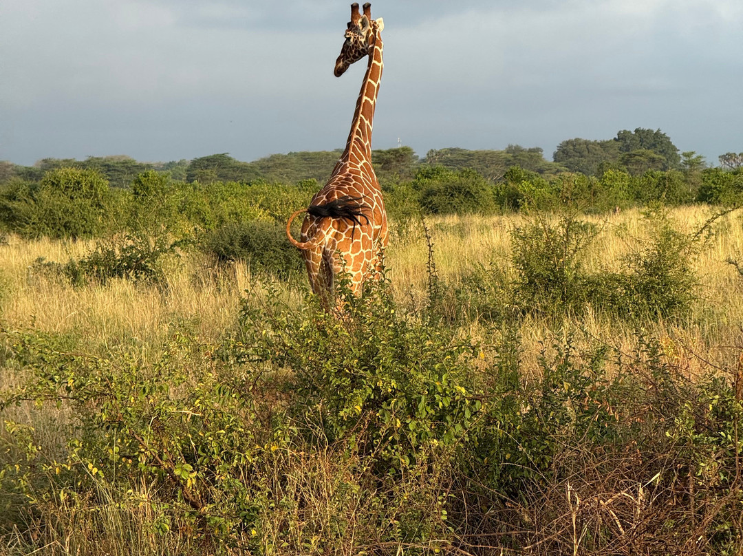 Agenzia Safari Vera Africa-东察沃国家公园必去景点