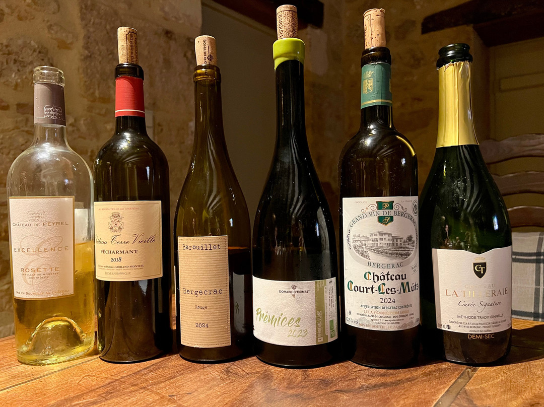 Dordogne Vineyard Tours-Mouleydier必去景点
