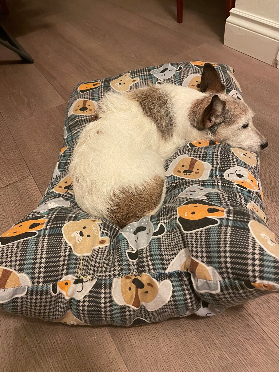 意大利酒店-客卧