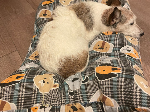 意大利酒店主图