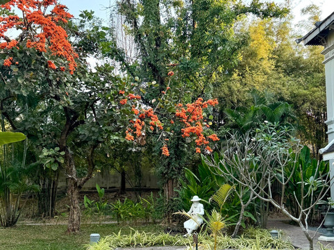 卢昂岛赛居所主图