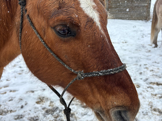 Del's Triangle 3 Ranch-Clark必去景点