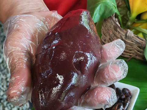 Cacao Trails Culture Tour-Hone Creek必去景点