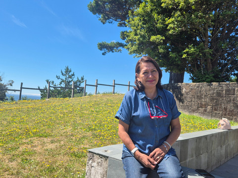 Panamericana Hotel Ancud主图