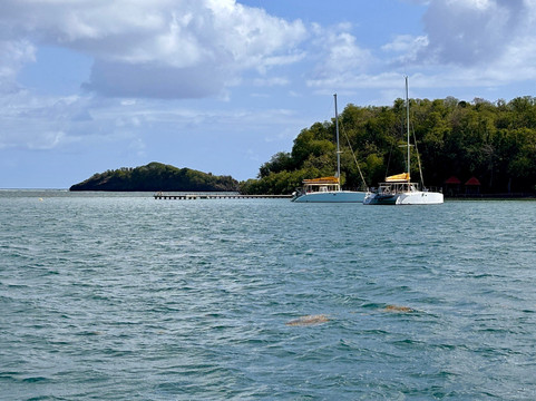 TY-Domino Catamaran-Le Robert必去景点