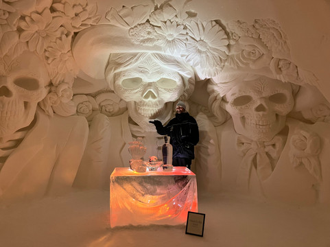 Lapland Safaris Yllas-Akaslompolo必去景点