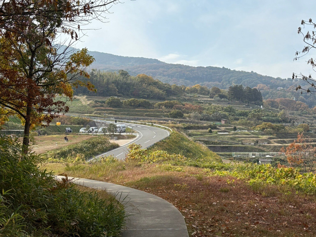Les Archives du coeur-土庄町必去景点
