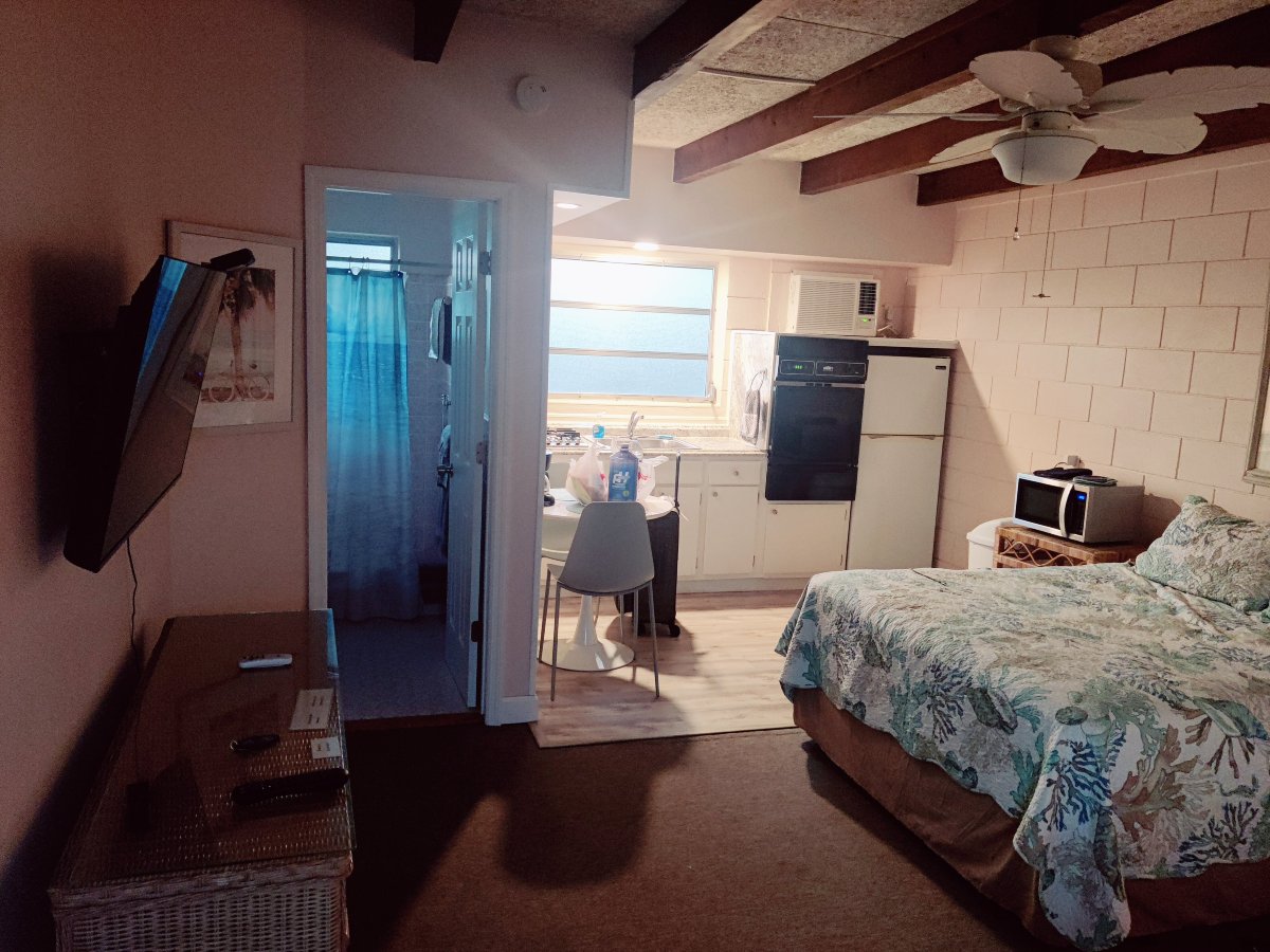 Driftwood Motel-官方