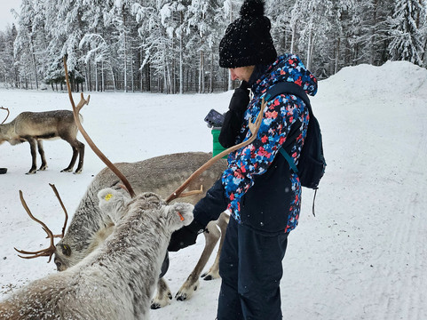 Jaakkola Reindeer Farm-Luosto必去景点