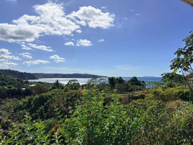 Cabinas Manolo Drake Bay, Ocean and Forest View主图