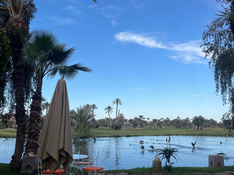 高尔夫馆酒店主图