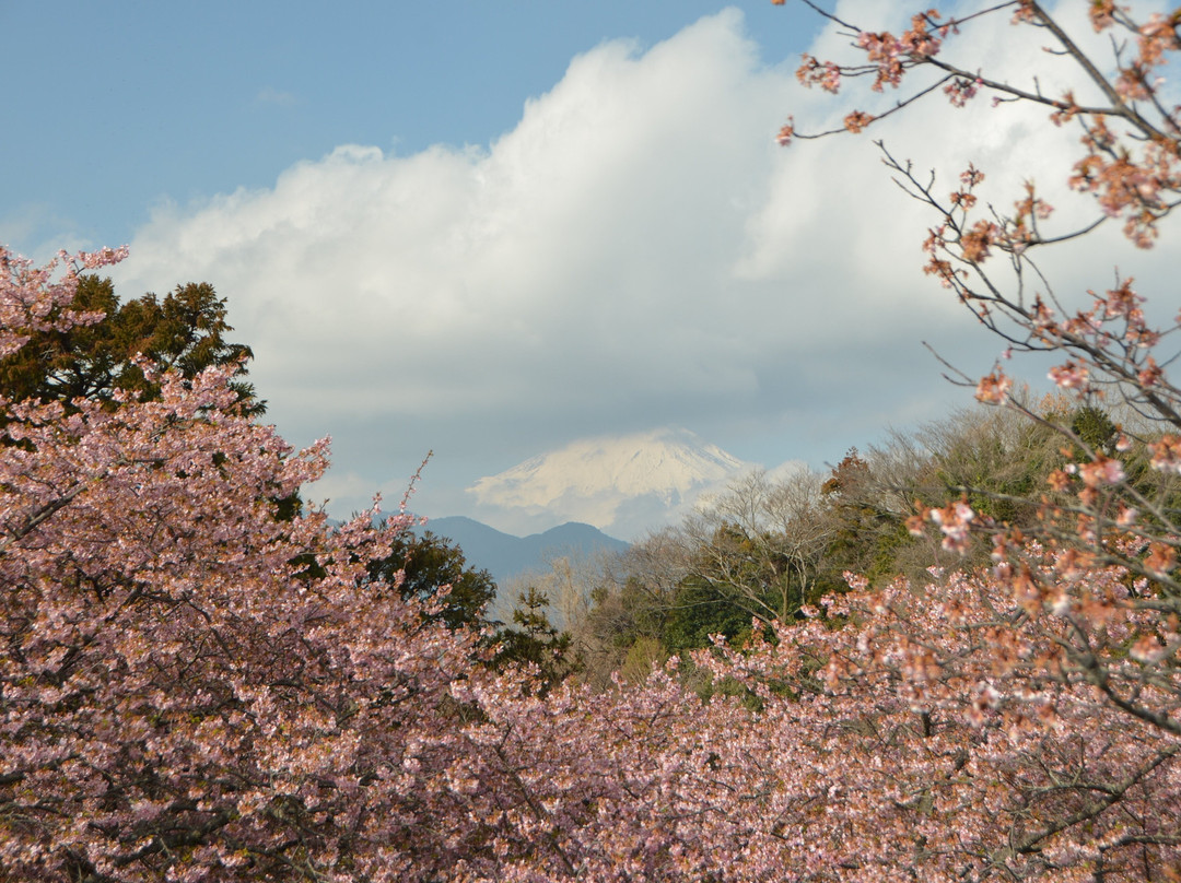 Nishihirahata Park-松田町必去景点