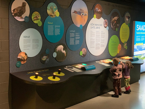 Ice Age Centre-塔尔图必去景点