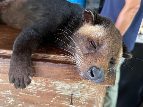 Polki W Podróży-比亚韦斯托克必去景点