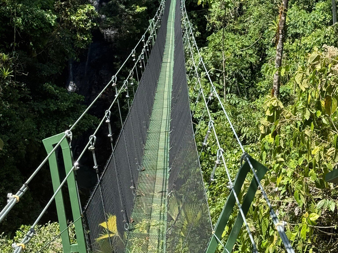 Brisas del Nara-哥斯达黎加安东尼奥国家公园必去景点