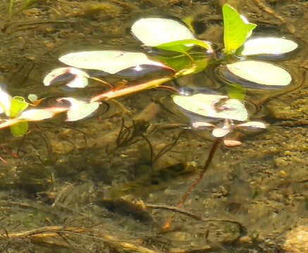 Quebrada De Córdova-Isla Negra必去景点