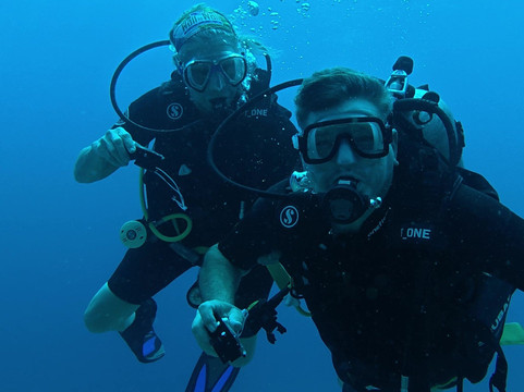 Scuba Iguana-阿约拉港必去景点