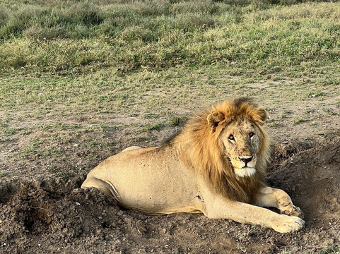 Ajabu Adventures Ltd - Day Tours-阿鲁沙必去景点