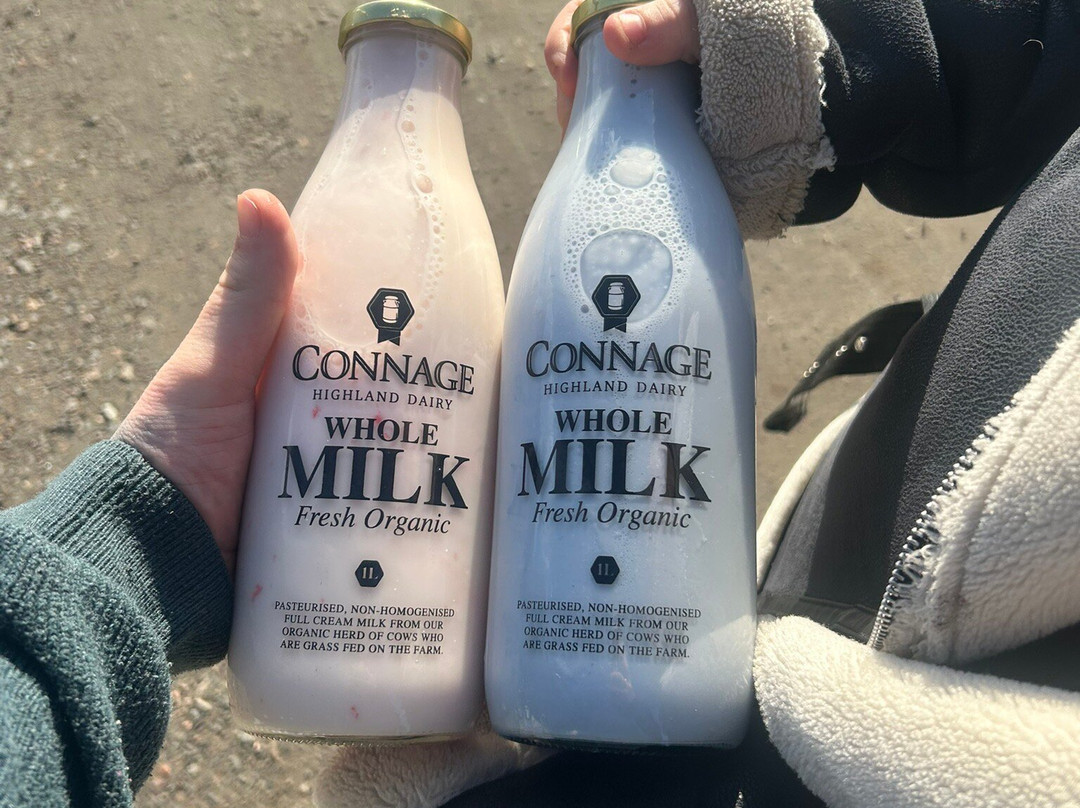 The Cheese Pantry at Connage-Ardersier必去景点