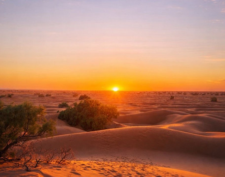 Mélodie du désert-迈哈米德必去景点