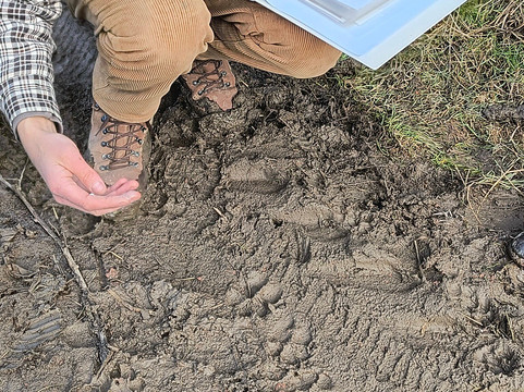 Hartibaciu Nature Tours-Hosman必去景点