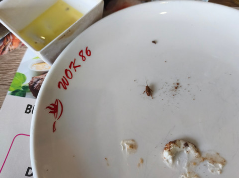 Wok 86 Le Petit Quevilly