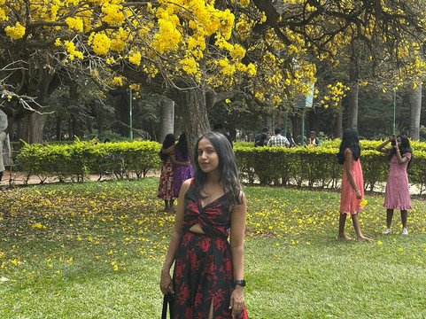 库本公园-班加罗尔必去景点