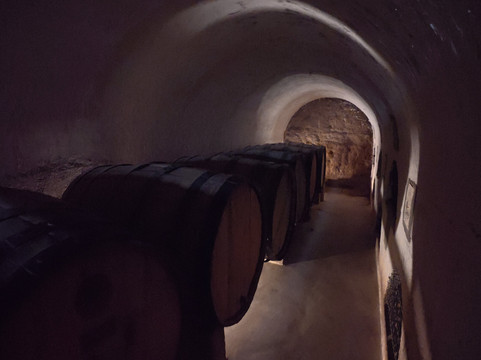 Fundo Los Nichos-Pisco Elqui必去景点