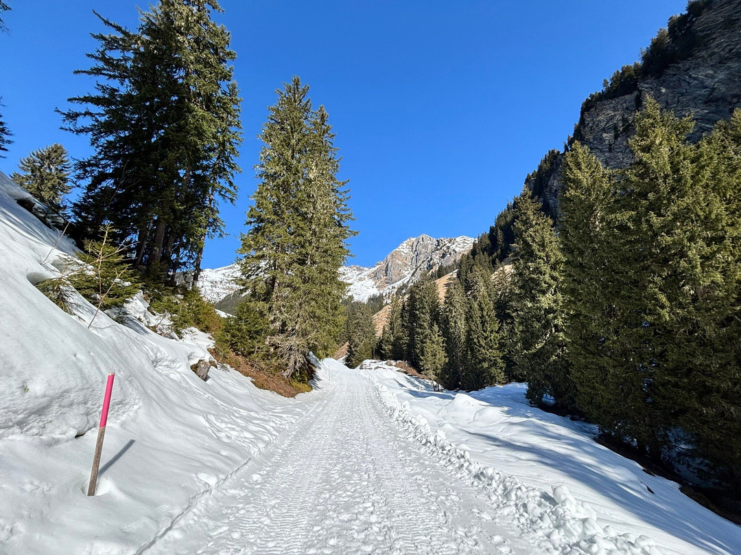 Wanderung Bussalp - Bort-格林德瓦必去景点