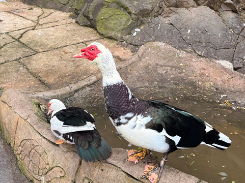 Maroparque Isla de La Palma-Brena Alta必去景点