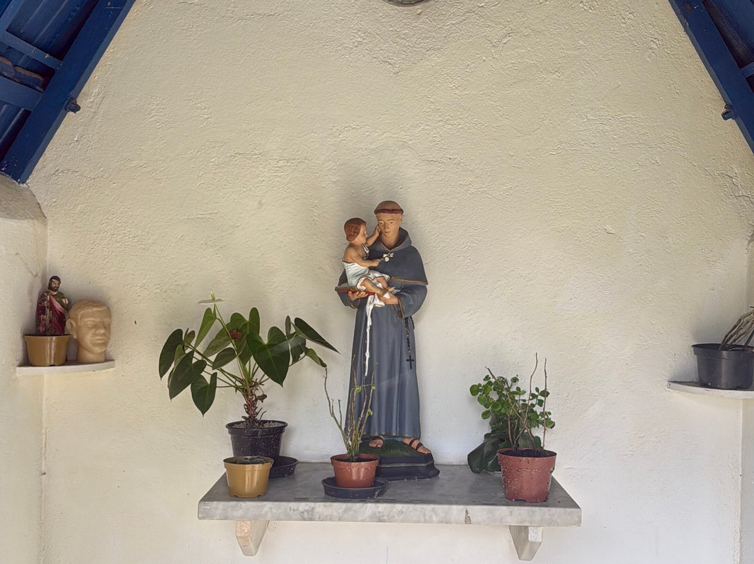 Milicia da Imaculada-圣贝尔纳多-杜坎普必去景点