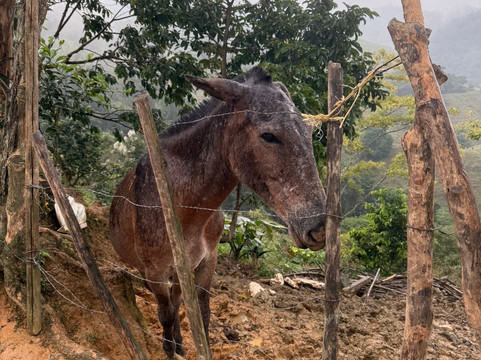 Teyuna Tours-圣玛尔塔必去景点