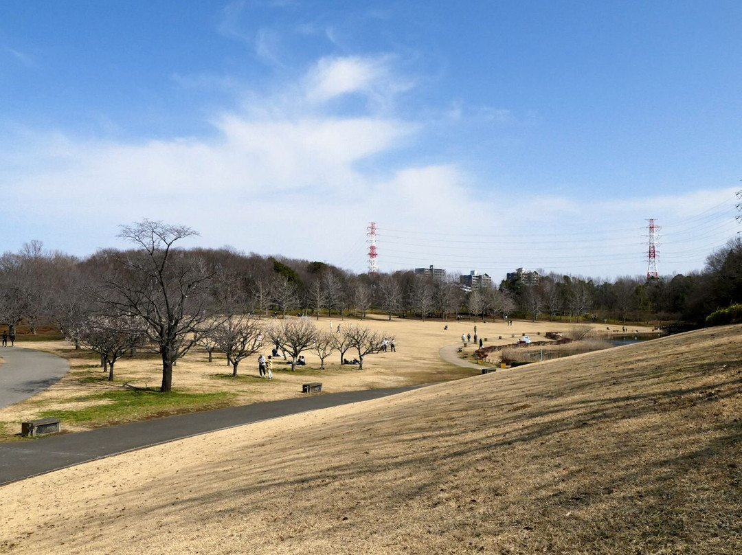Hokusouhananooka Park-印西市必去景点