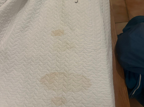 卡维塔阿特兰蒂达山林小屋主图