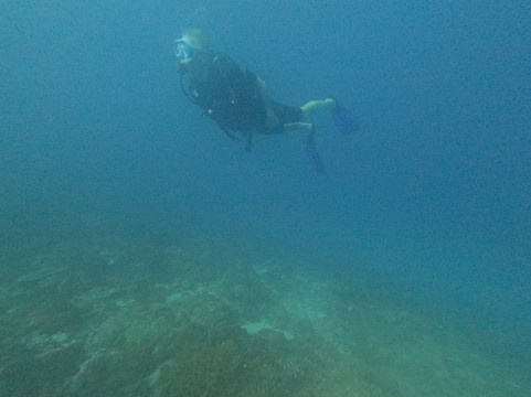 Buccaneer Diving-帕杰必去景点