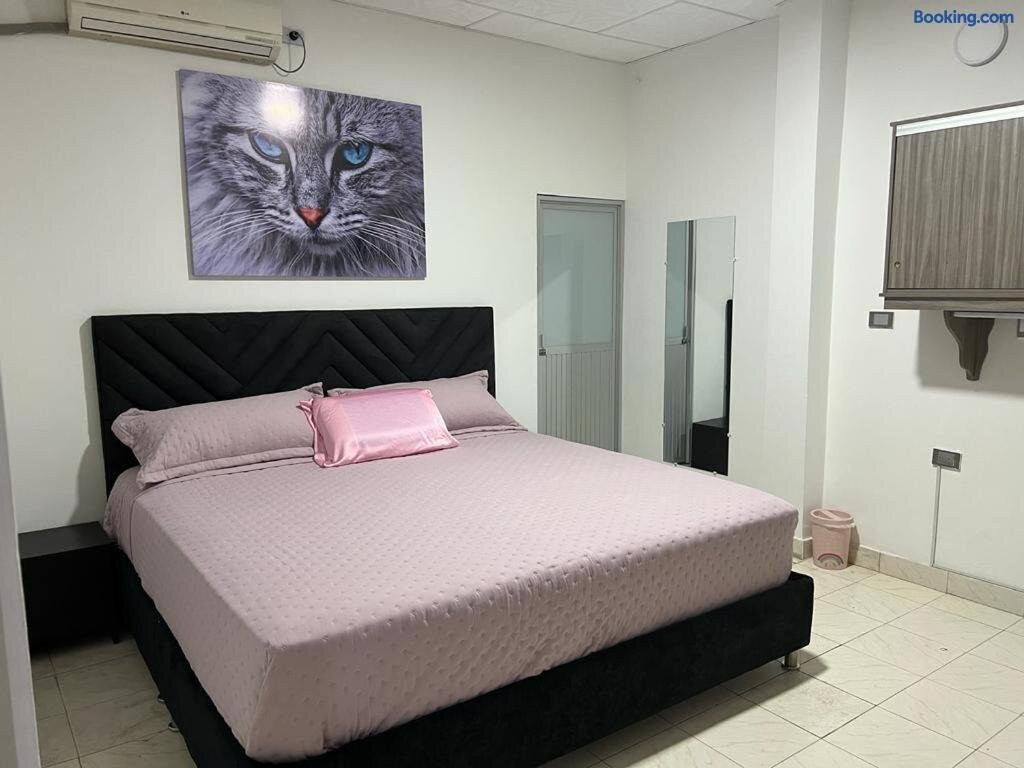 Hotel Cool House 24horas