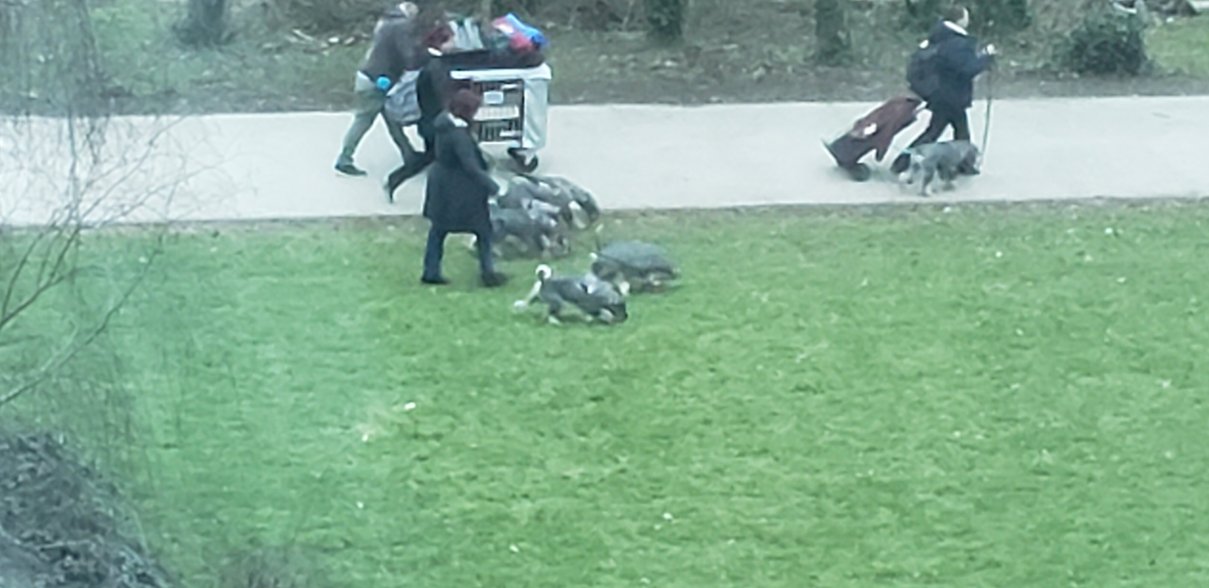 Crowne Plaza 伯明翰-浴室