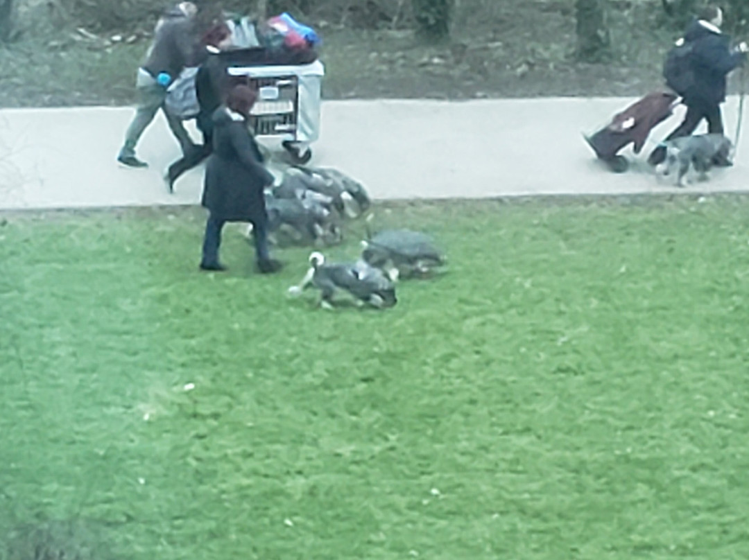 Crowne Plaza 伯明翰主图