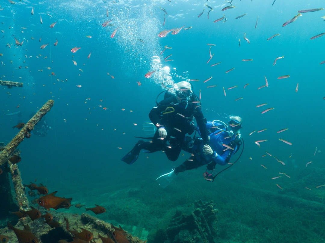 Swan Dive Busselton-巴瑟尔顿必去景点