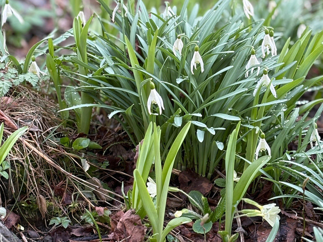 Eglise de Venosc-Vénosc必去景点