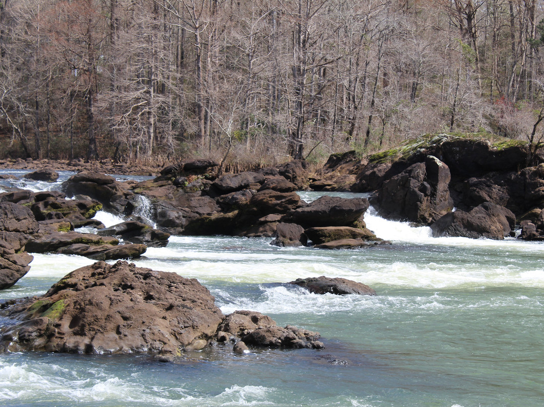 Big Eddy Riverfront Park & Trails