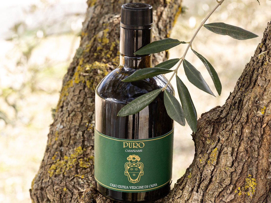 卡萨福拉斯住宿主图