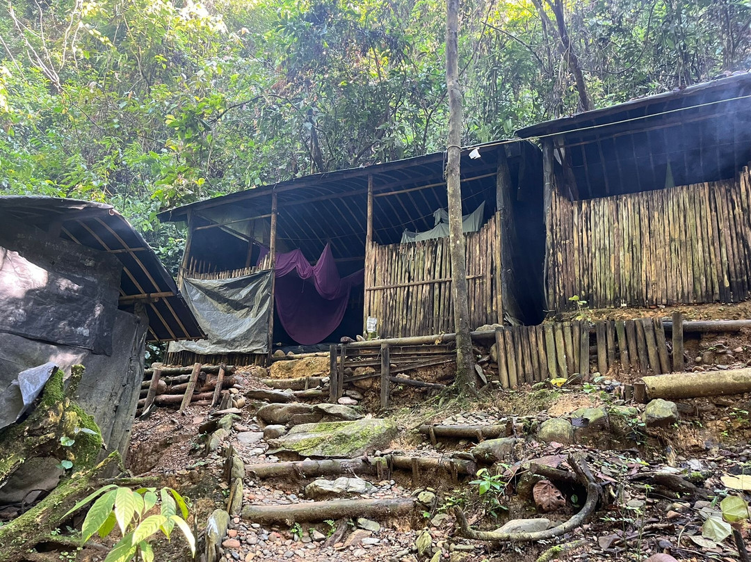 Trek of Sumatra