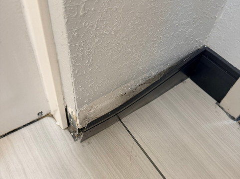 萨凡纳机场普勒拉昆塔温德姆套房酒店主图