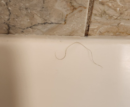 阿比海滩度假村主图