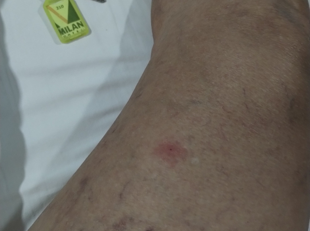 哥斯达黎加米兰酒店主图