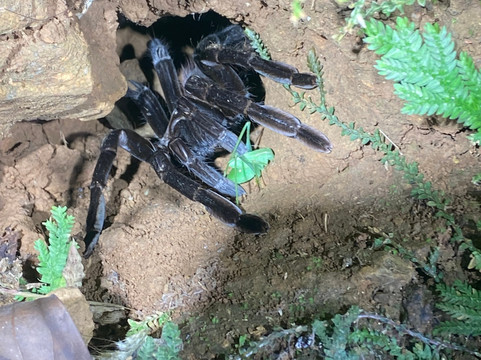 Santa Lucia Falls-乌维塔必去景点
