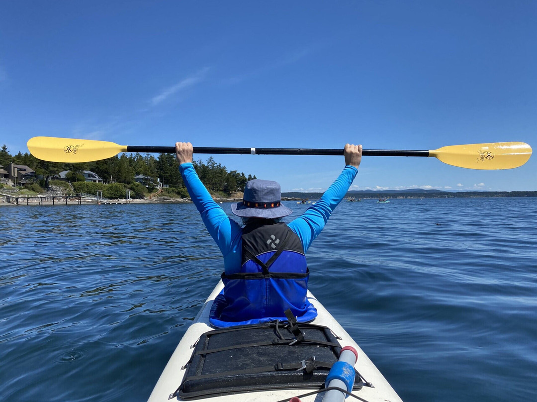 Sea Quest Kayak Tours-星期五港湾必去景点