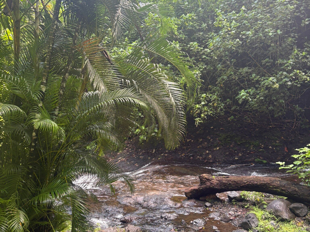 Papaseea Sliding Rock-阿皮亚必去景点
