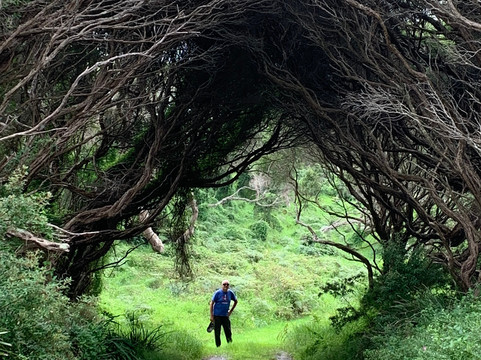 Gabo Island-Mallacoota必去景点